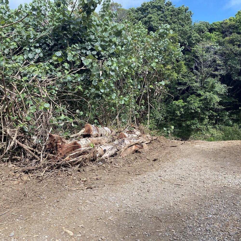Twin Falls Trail - Lots of clearing and improvements going on - Hiking Near Me - Haiku, Hawaii Twin Falls Trail - Lots of clearing and improvements going on - Hiking Near Me - Haiku, Hawaii