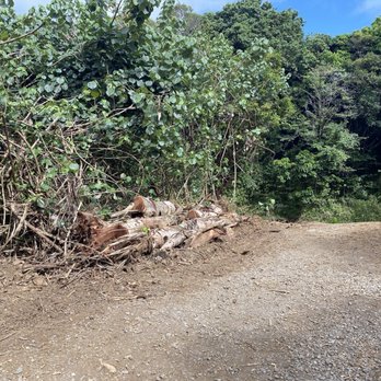 Twin Falls Trail - Lots of clearing and improvements going on - Hiking Near Me - Haiku, Hawaii