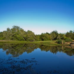 4D Guest Ranch - Another shot of one of the fishing ponds.