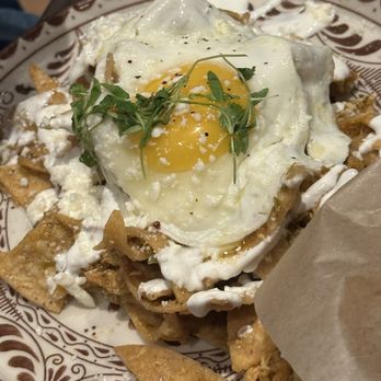 Los Caminos Modern Cocina - CHILAQUILES ROJOS O VERDES - Mexican Near Me - Flower Mound, Texas Los Caminos Modern Cocina - CHILAQUILES ROJOS O VERDES - Mexican Near Me - Flower Mound, Texas