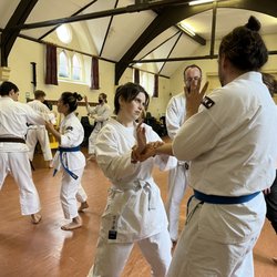 Bristol Shorinji Kempo Dojo - White belts learn a technique from a blue belt.