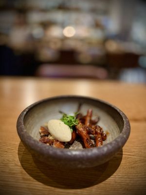 Rooster & Owl by null