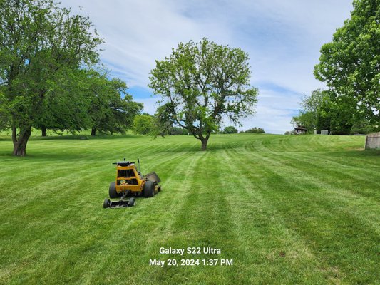Lawn Services - Call now for a free estimate Lawn Services - Call now for a free estimate