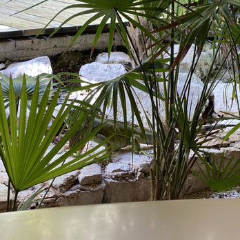 Café del Lago - Buffets Near Me - Cancún, ROO