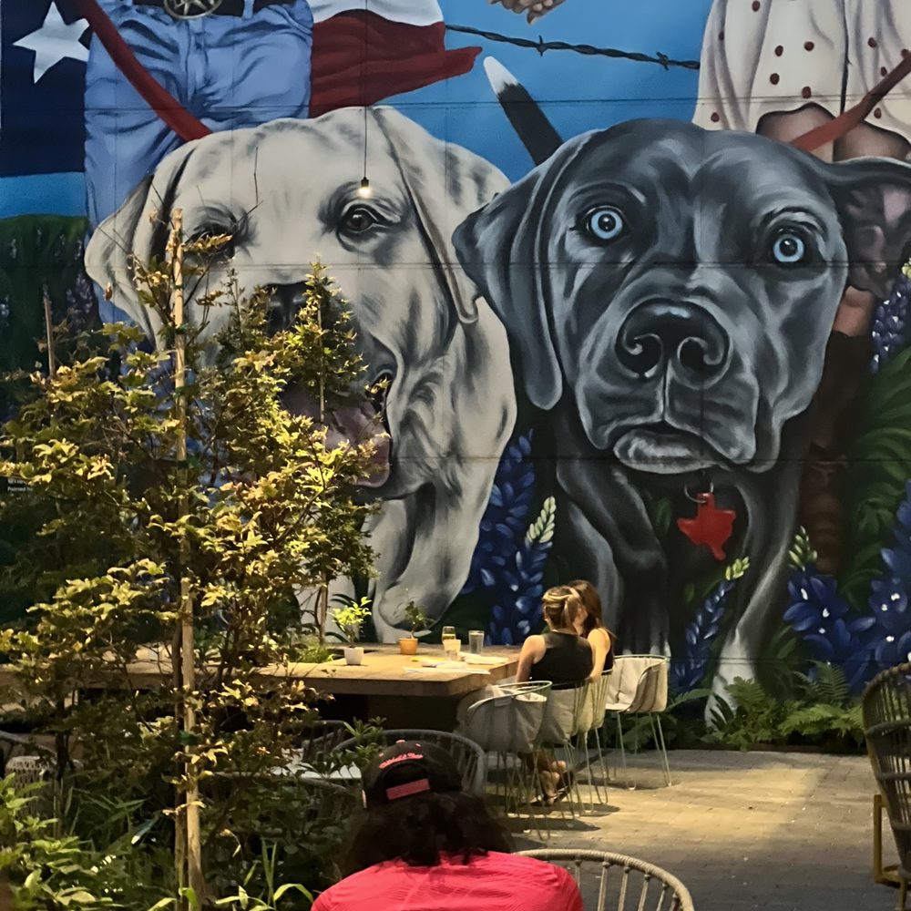 Blue Lacy - Mural at blue lacy restaurant - Bars Near Me - Austin, Texas