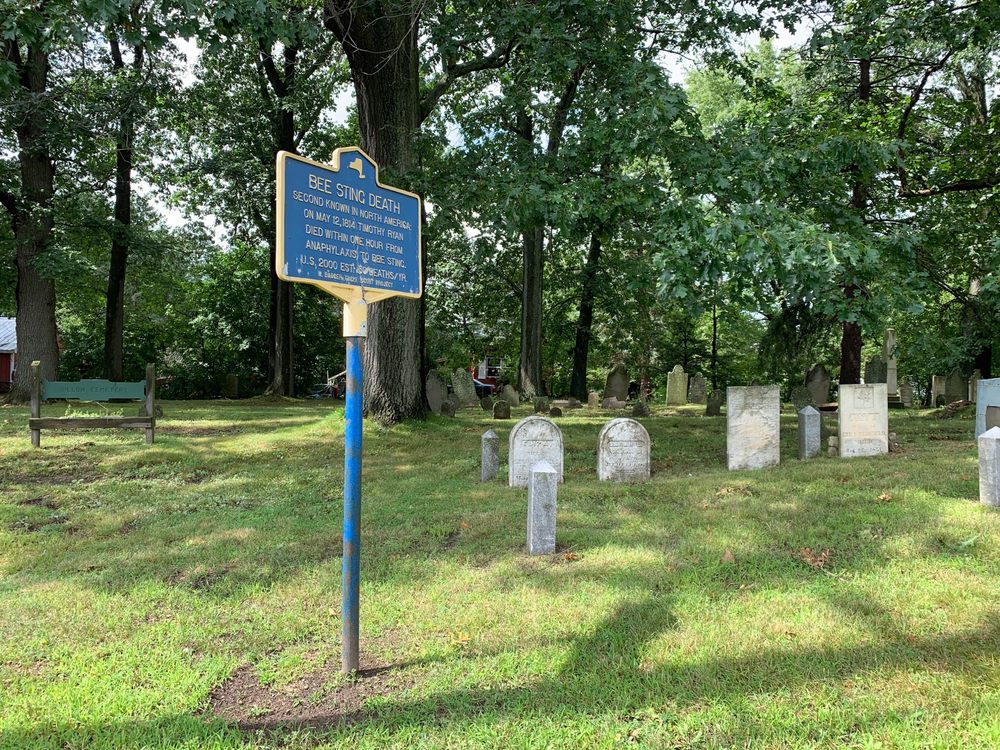 BEE STING DEATH Updated April 2024 4160 Pine Tree Dr, Shortsville