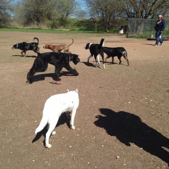 Norman Community Dog Park - Dog Parks Near Me - Norman, Oklahoma Norman Community Dog Park - Dog Parks Near Me - Norman, Oklahoma