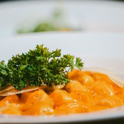 El Viejo Almacen - Guaynabo