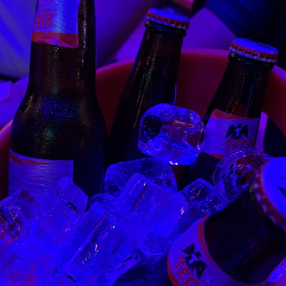 Congo - Bucket of Tecate - Dance Clubs Near Me - Cancún, ROO Congo - Bucket of Tecate - Dance Clubs Near Me - Cancún, ROO