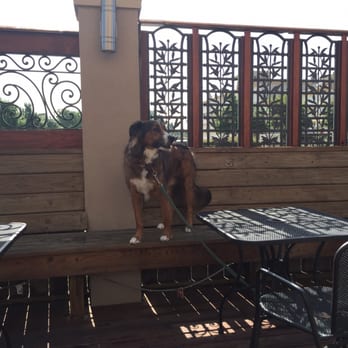 Three Brothers Bakery - I think I found a new place for me and the pooch to chill! - Bakeries Near Me - Houston, Texas