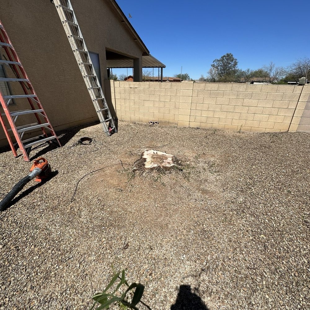 Jose Landscaping - Removed tree - Landscaping Near Me Jose Landscaping - Removed tree - Landscaping Near Me