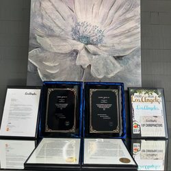 Miceli Chiropractic Center - Dr. Miceli awards for the Nationwide Registries Women of Distinction Honor for 2023 and 2024