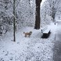 Photo of Bayernpark
