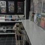 Photo of Venus Lounge Records