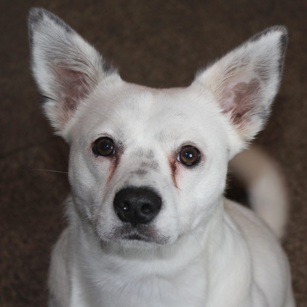 MD AUTO REPAIR Updated August 2024 17 Photos & 20 Reviews 7915 Troost Ave, Kansas City