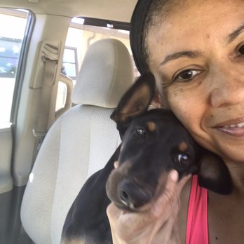 PowerHouseK9 - Honey - Pet Training Near Me PowerHouseK9 - Honey - Pet Training Near Me