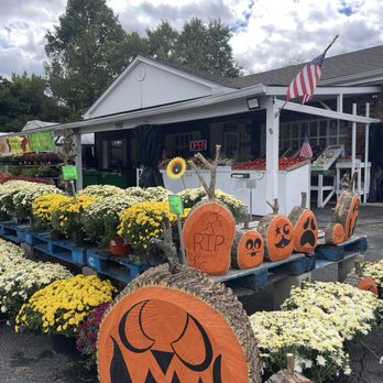 Phillips Produce - Fruits & Veggies Near Me - Indianapolis, Indiana