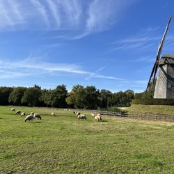 Openluchtmuseum Bokrijk