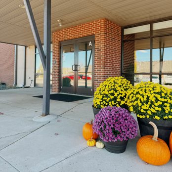 Scribbles Center For Learning - Preschools Near Me - Bloomington, Illinois