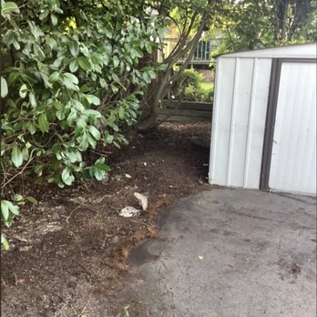 O& E Landscaping Services - Removed 4 ft of shrubs. - Landscaping Near Me