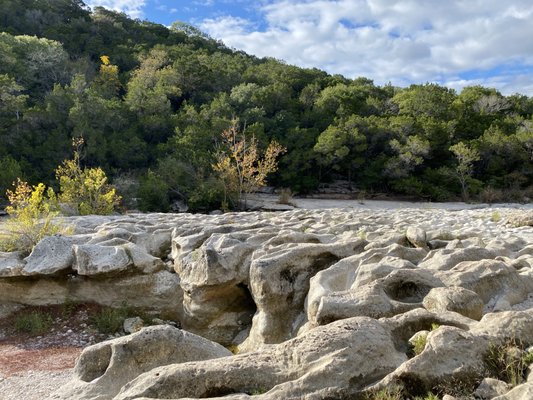 Barton Creek Greenbelt by null
