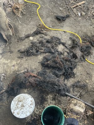 Rooter Bro's Sewer & Drain Service Logo