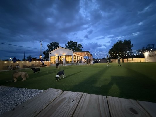 BARk House Social by null