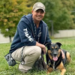 Paws and Effect Dog Training