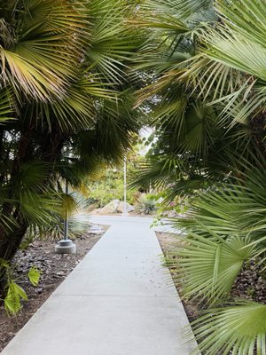 Palomar College by null