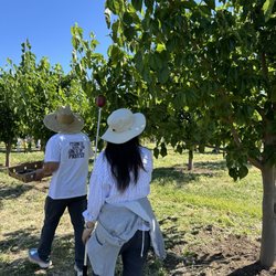 Very Mulberry - These folks came super prepared with this extended fruit picker stick