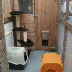 The Cat's Whiskers Boarding Cattery - This is cabin suitable for one to two cats.