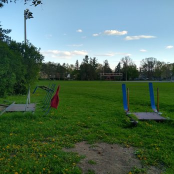 McKellar Park - Training sleds to push around. - Parks Near Me - Ottawa, Ontario