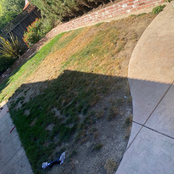 lima landscaping - Old sod - Landscape Architects or Designers Near Me - San Jose, California lima landscaping - Old sod - Landscape Architects or Designers Near Me - San Jose, California