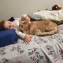 Photo of Dream House Rescue