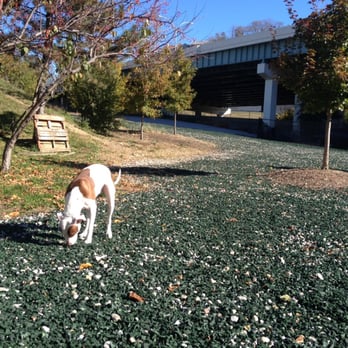 Fido Field - Dog Parks Near Me - Cincinnati, Ohio