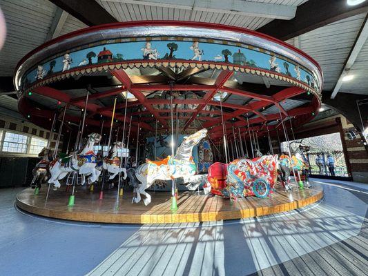 Central Park Carousel by null