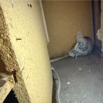 Palm Springs Pest Control - Rodent entry point "sealed" by Christian/Palm Springs Pest Control. Note the remaining droppings. - Pest Control Near Me - Cathedral City, California Palm Springs Pest Control - Rodent entry point "sealed" by Christian/Palm Springs Pest Control. Note the remaining droppings. - Pest Control Near Me - Cathedral City, California