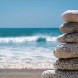 TerraLife Wellness - Balance