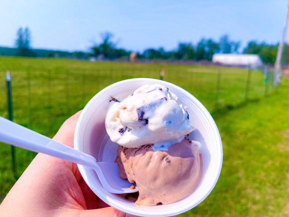 ROBB’S FARM ICE CREAM 129 Photos & 124 Reviews Ice Cream & Frozen