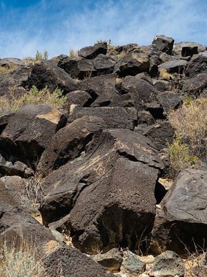 Petroglyph National Monument by null