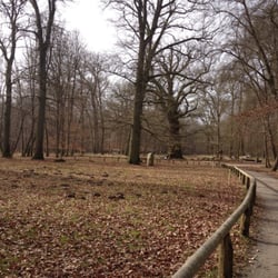 Ivenacker Tiergarten - 1000 jährige Eiche - älteste bekannte Eiche