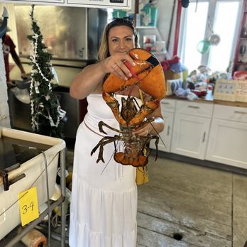 Abbott's Lobster In the Rough - Seafood Near Me - Noank, Connecticut