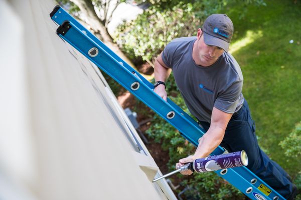 COLONIAL PEST CONTROL INC 20 Trafalgar Sq Nashua New Hampshire 