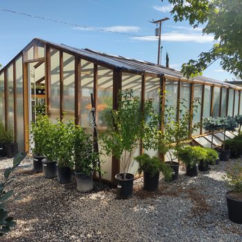 Mountain View Tree Farm - Nursery containing overflow of Nursery stock - Nurseries & Gardening Near Me - Gardnerville, Nevada Mountain View Tree Farm - Nursery containing overflow of Nursery stock - Nurseries & Gardening Near Me - Gardnerville, Nevada