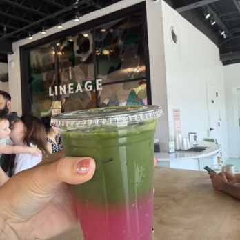 Lineage Coffee Roasting - Coffee Roasteries Near Me - Orlando, Florida Lineage Coffee Roasting - Coffee Roasteries Near Me - Orlando, Florida