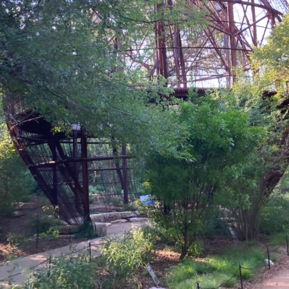 Pease Park - Parks Near Me - Austin, Texas Pease Park - Parks Near Me - Austin, Texas
