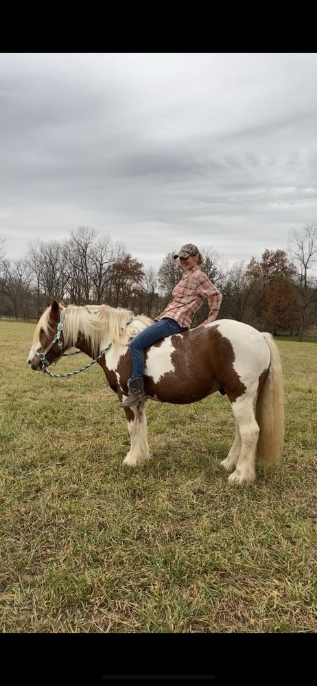Heart and Soul Horse Training - equestrian in Middleville, MI