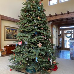 Farmer Gene’s Christmas Trees - Christmas tree from Farmer Genes.
