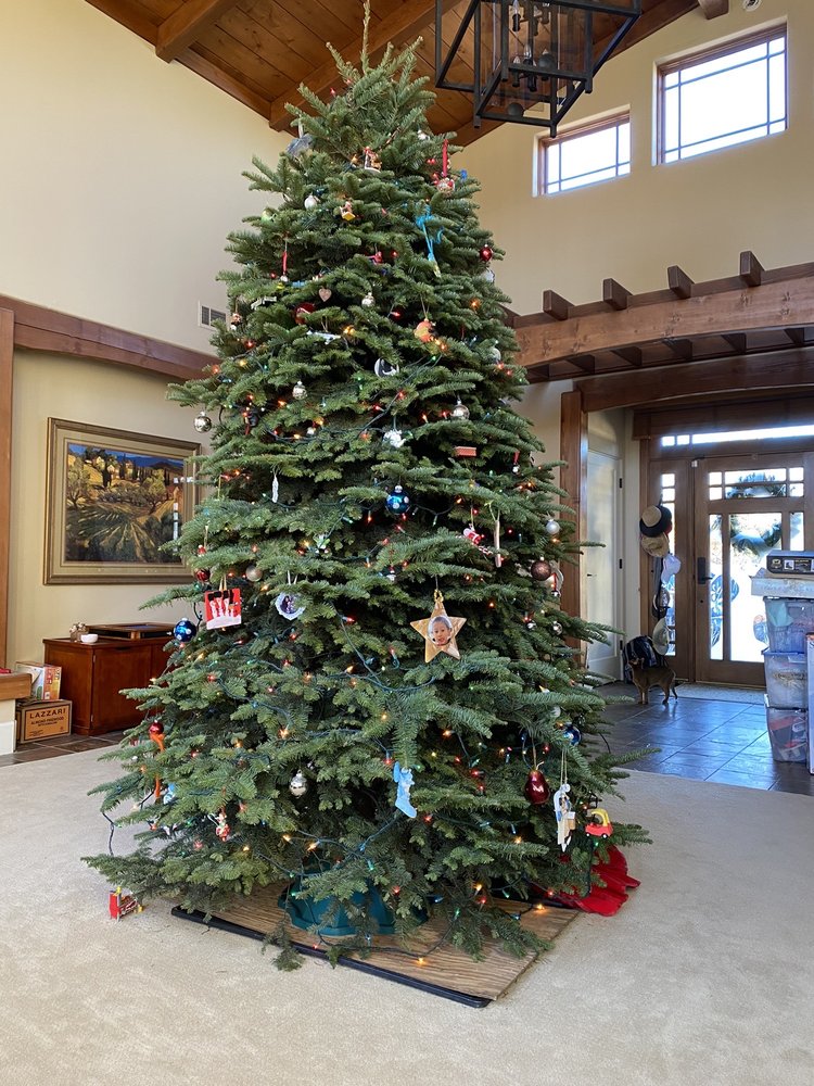 FARMER GENE’S CHRISTMAS TREES Updated September 2024 4370 Town