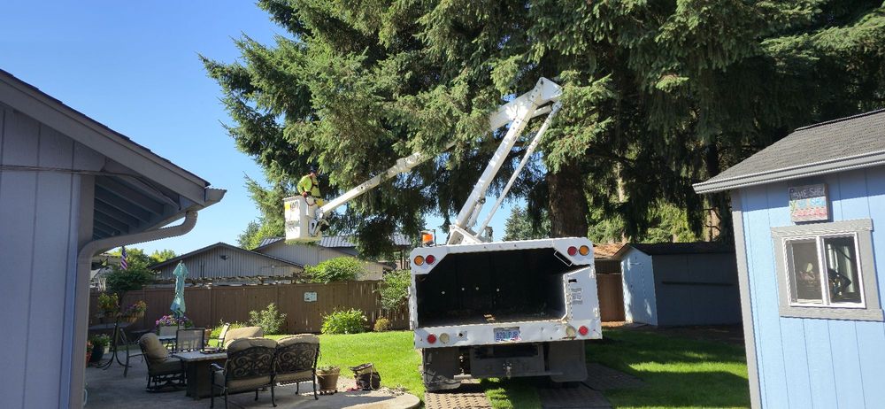 Superior Tree Service - tree service in Springfield, OR